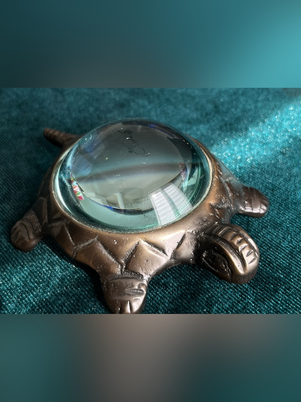 Vintage Turtle Magnifying Glass Desktop